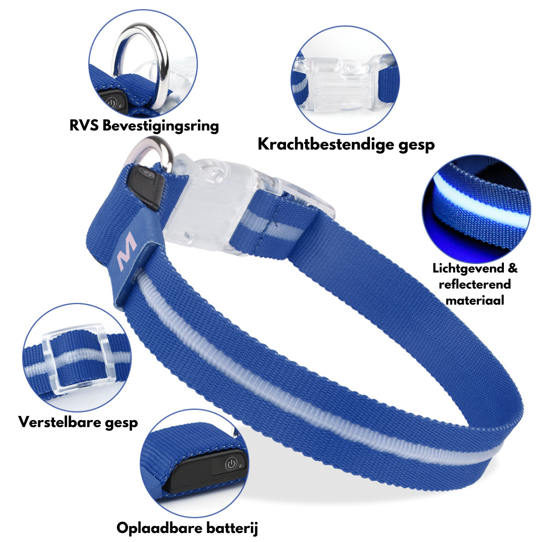 GlowGuard Lichtgevende LED Hondenhalsband | Blauw