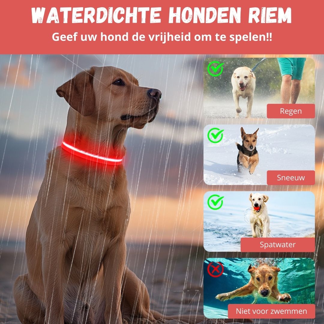 GlowGuard Lichtgevende LED Hondenhalsband | Rood