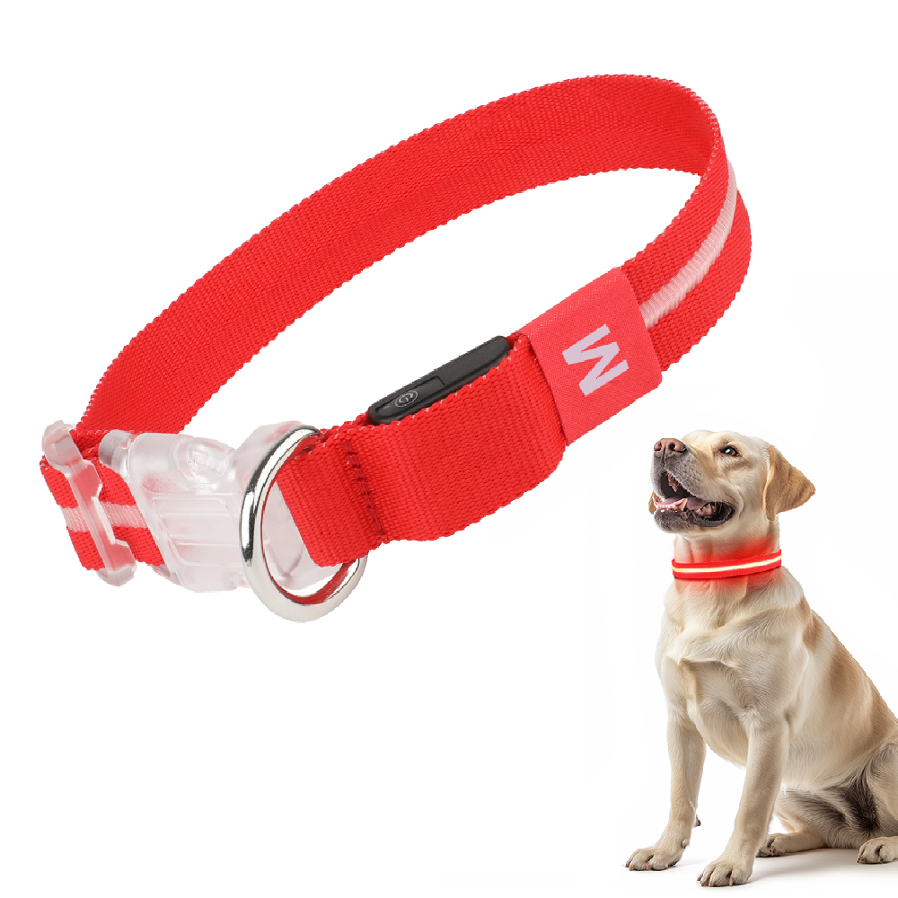 GlowGuard Lichtgevende LED Hondenhalsband | Rood