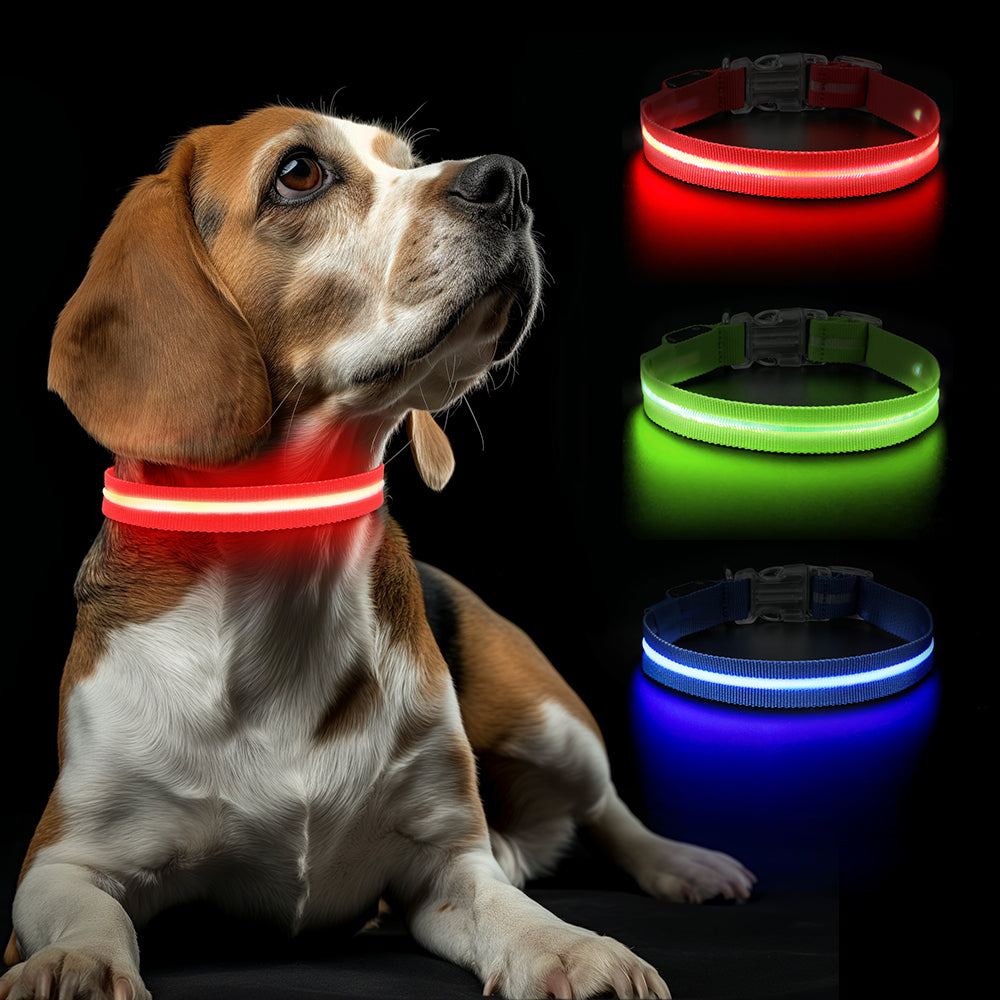 GlowGuard Lichtgevende LED Hondenhalsband | Rood