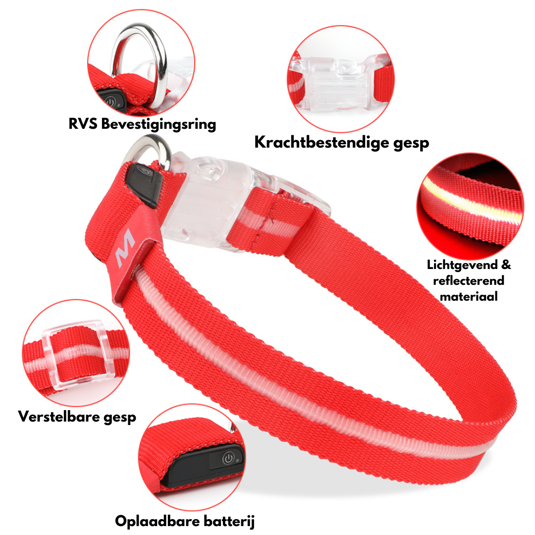 GlowGuard Lichtgevende LED Hondenhalsband | Rood