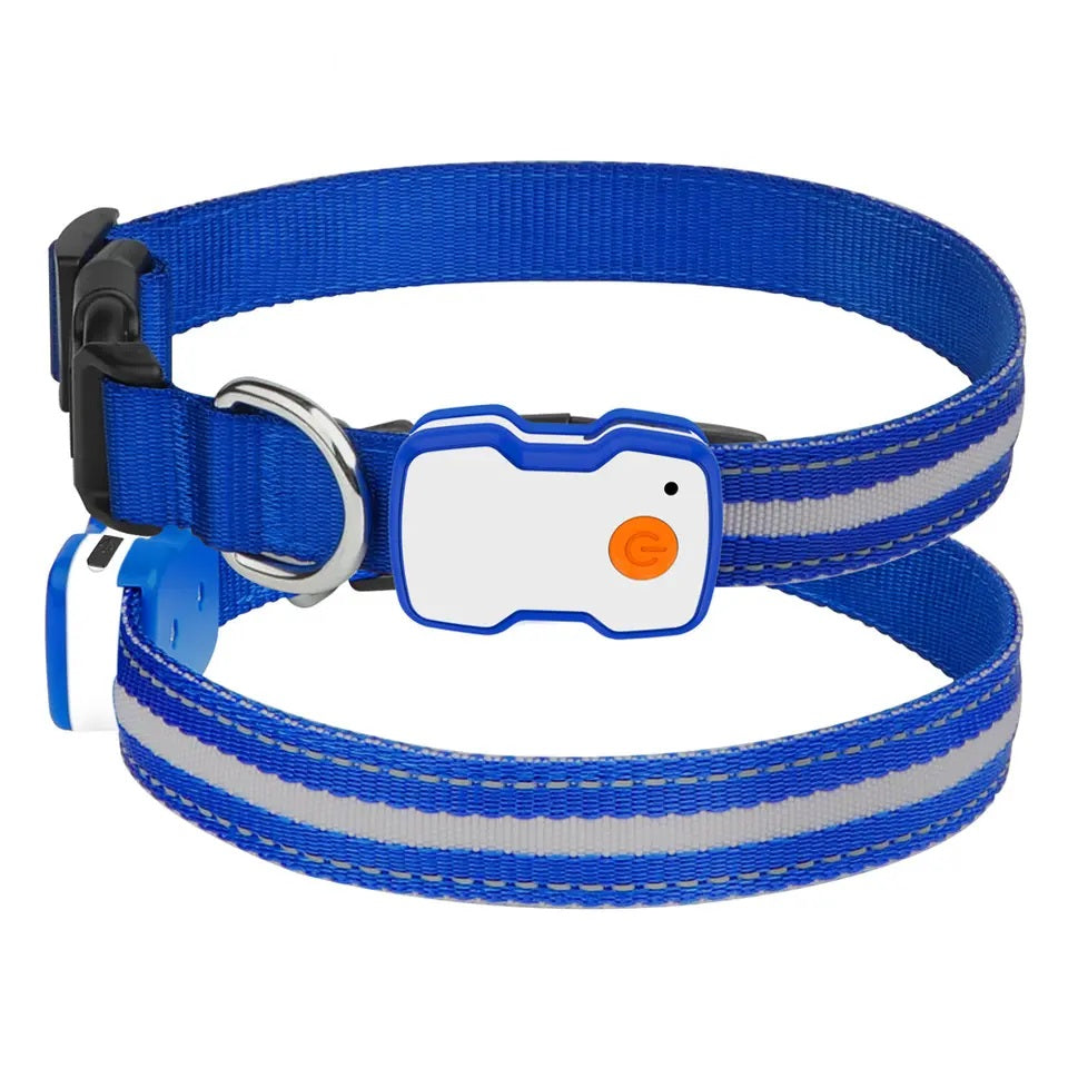 GlowGuard LED verlichte Hondenhalsband | Blauw