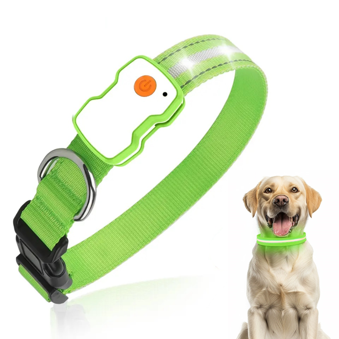 GlowGuard LED Hondenhalsband | Groen