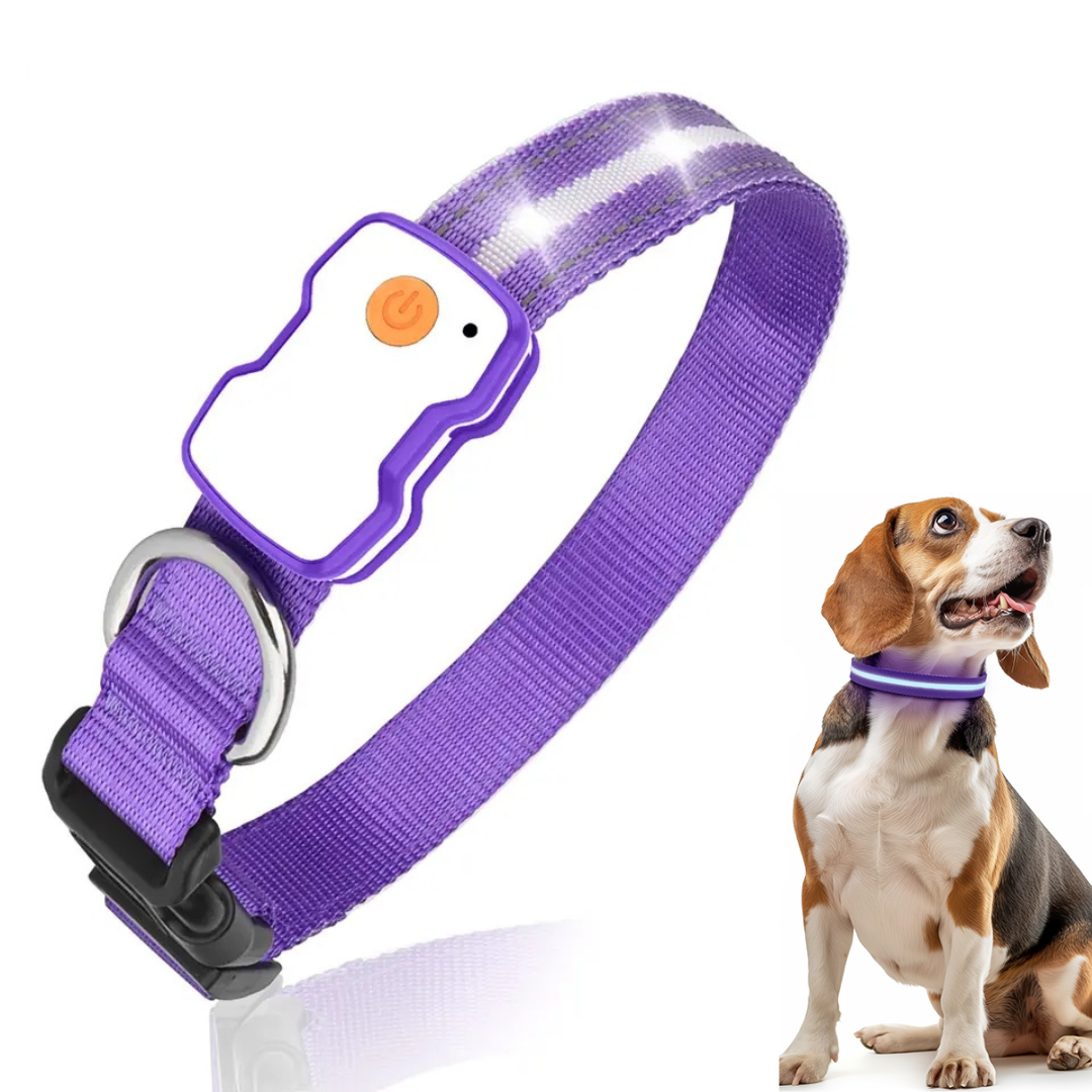 GlowGuard LED Hondenhalsband | Paars
