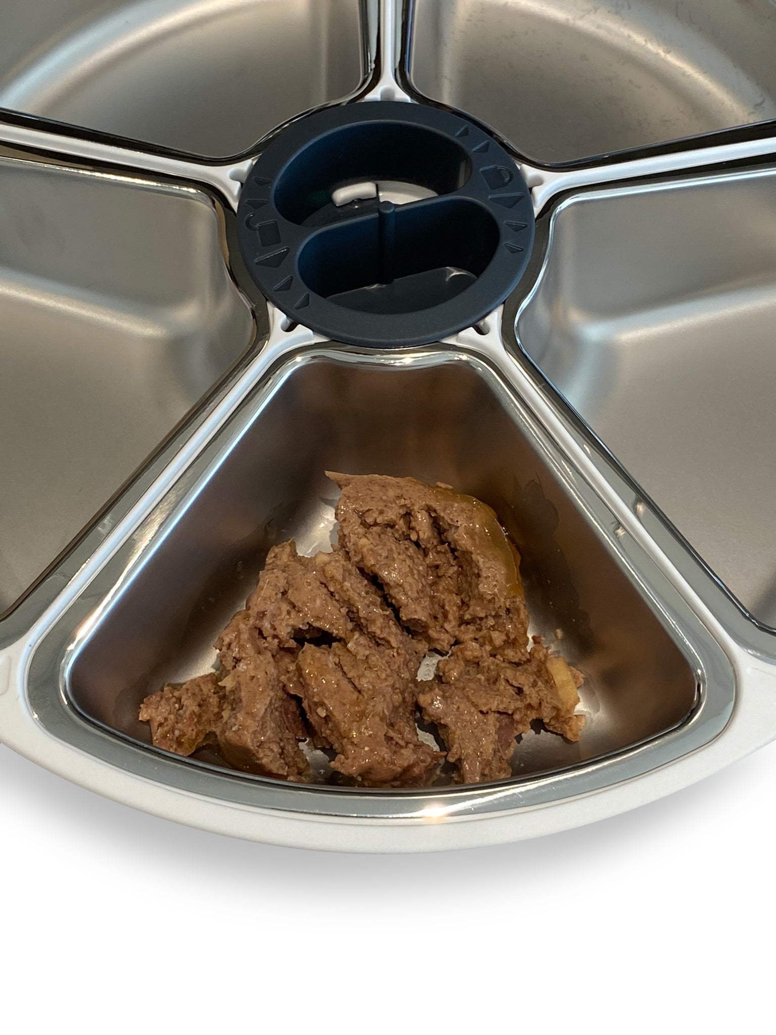 Closer Pets Five-Meal Automatic Pet Feeder with Stainless Steel Bowl Inserts (C500) - modernized.nl