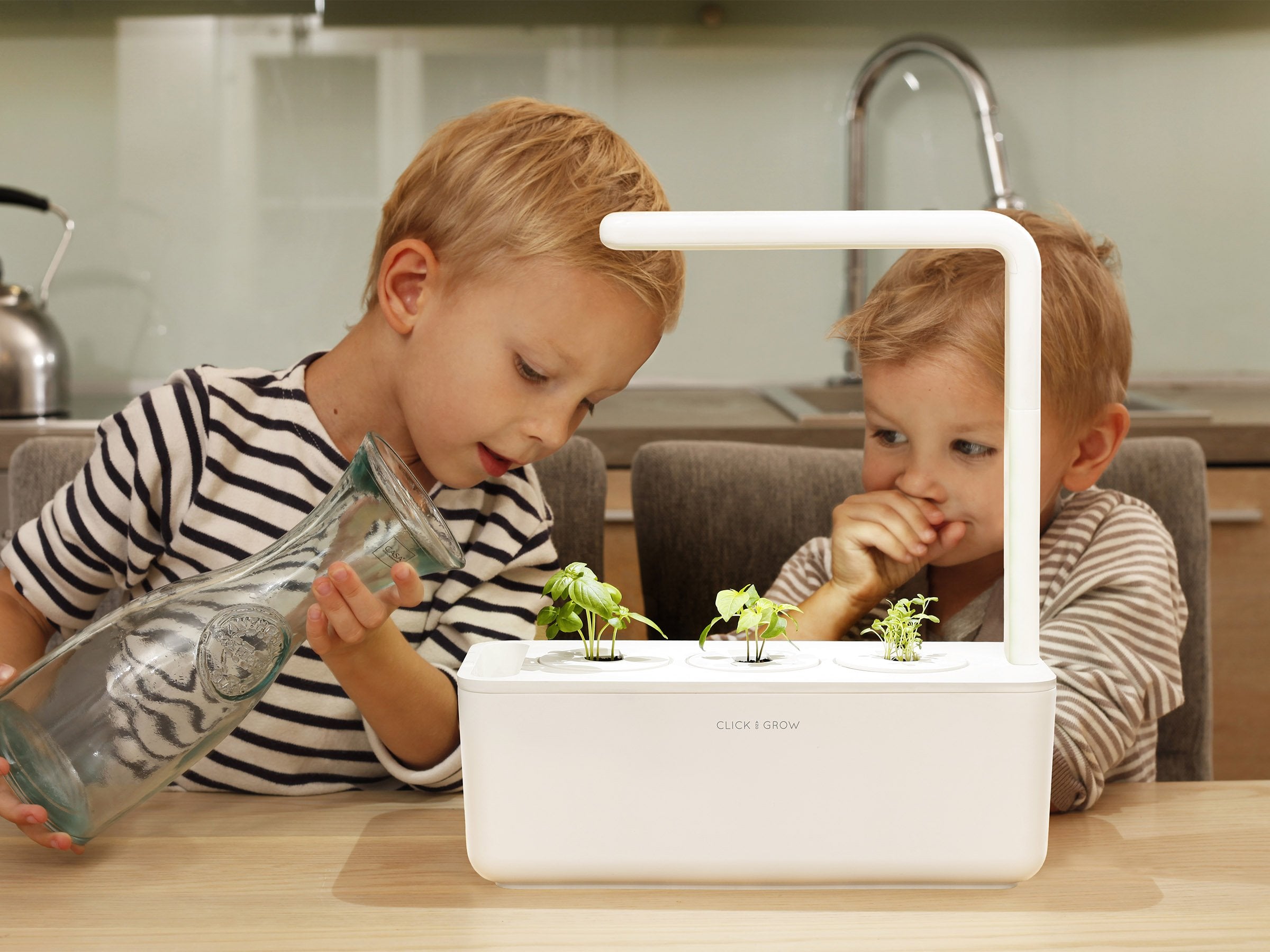 Elevate Your Indoor Greenery with the Smart Garden 3 - modernized.nl