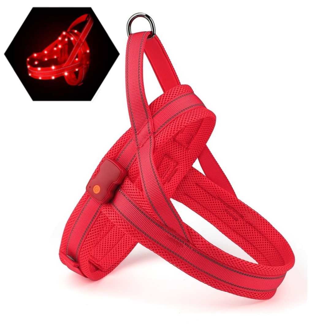 GlowGuard LED verlichte Hondenharnas | Rood