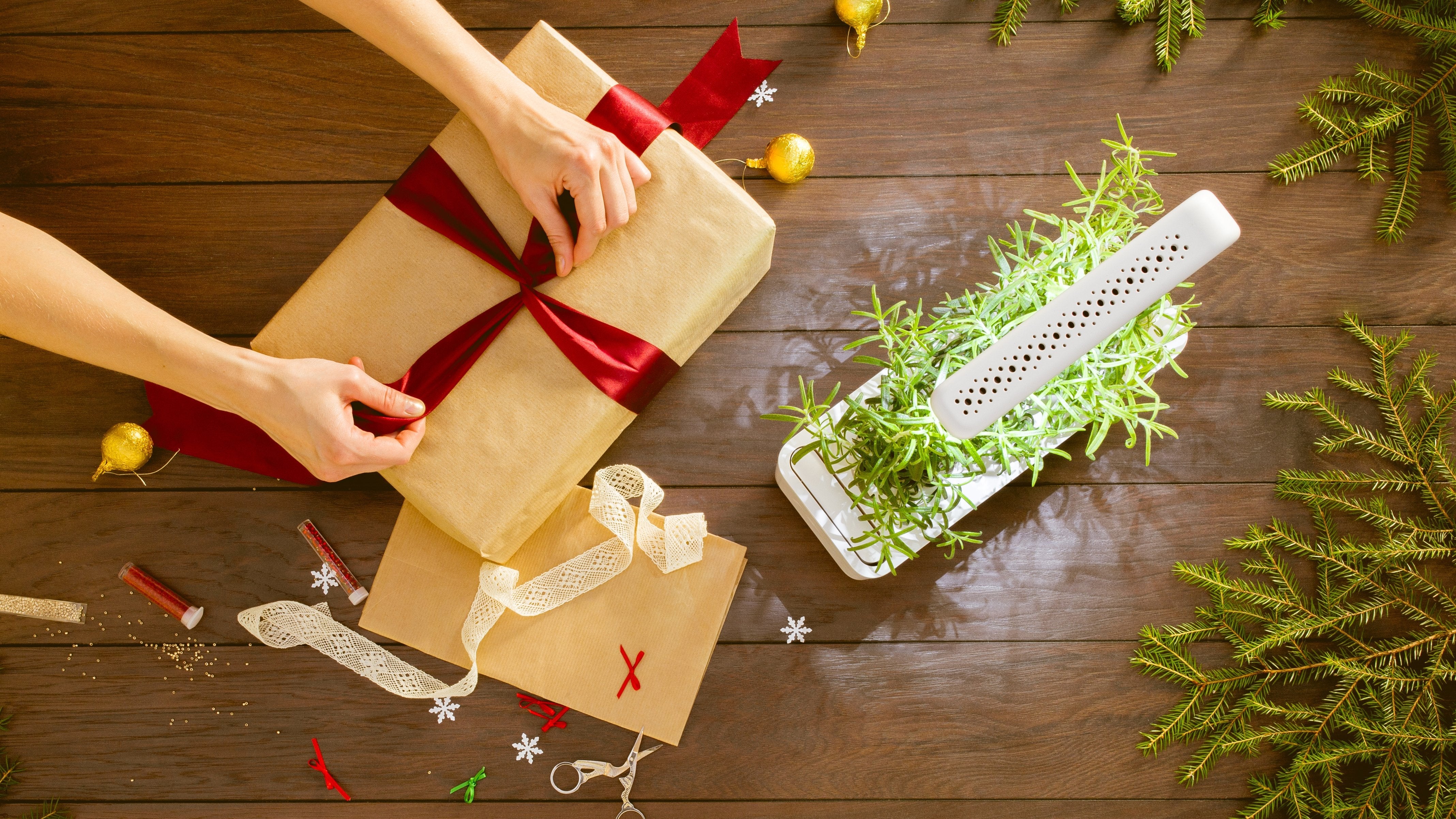 Elevate Your Indoor Greenery with the Smart Garden 3 - modernized.nl