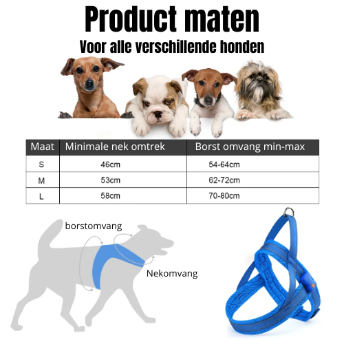 GlowGuard LED verlichte Hondenharnas | Rood