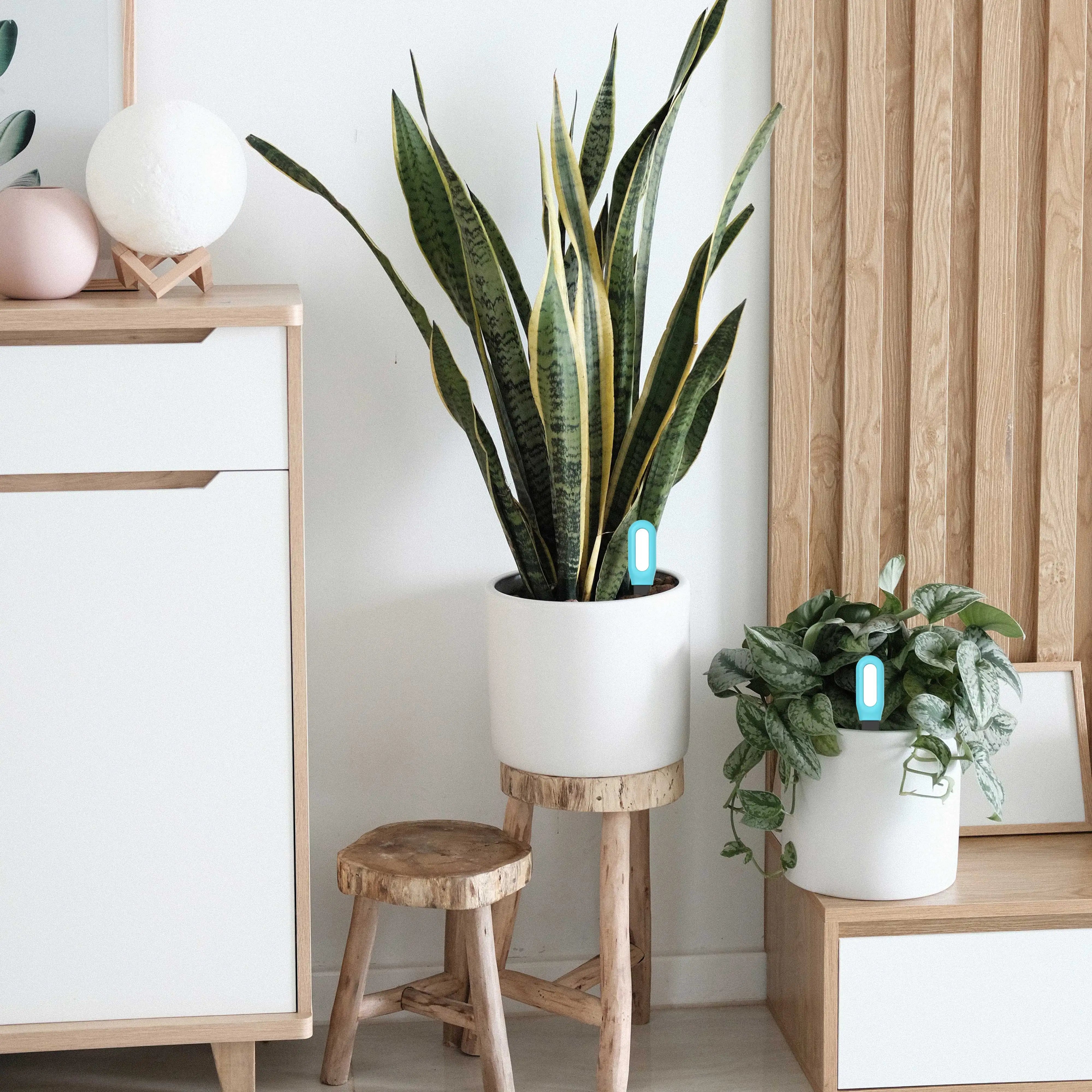 Tuya Zigbee Soil Tester – Smart Temperature & Humidity Monitor for Garden & Irrigation