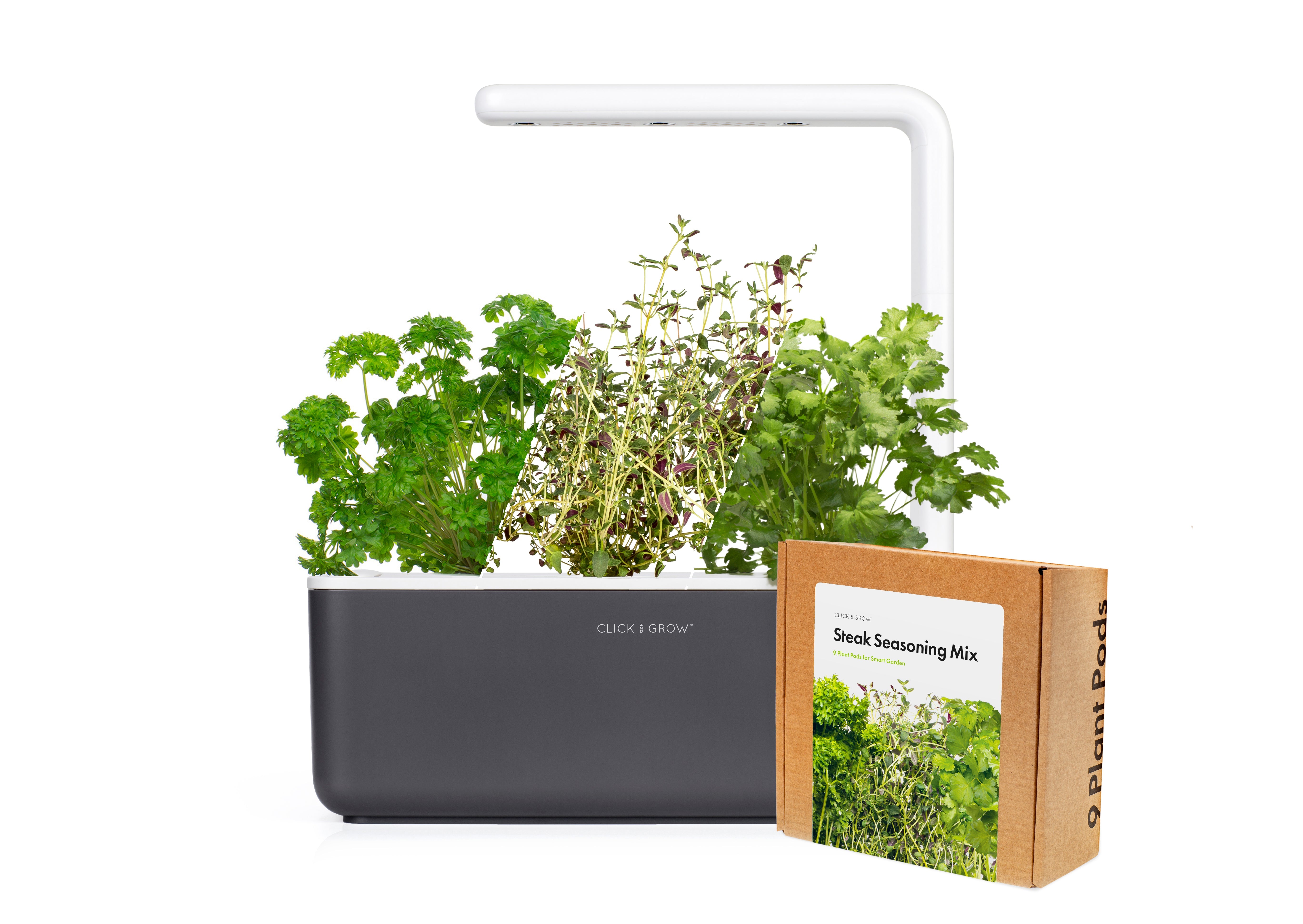 Deliciously Versatile Mini Steak Seasoning Set - modernized.nl