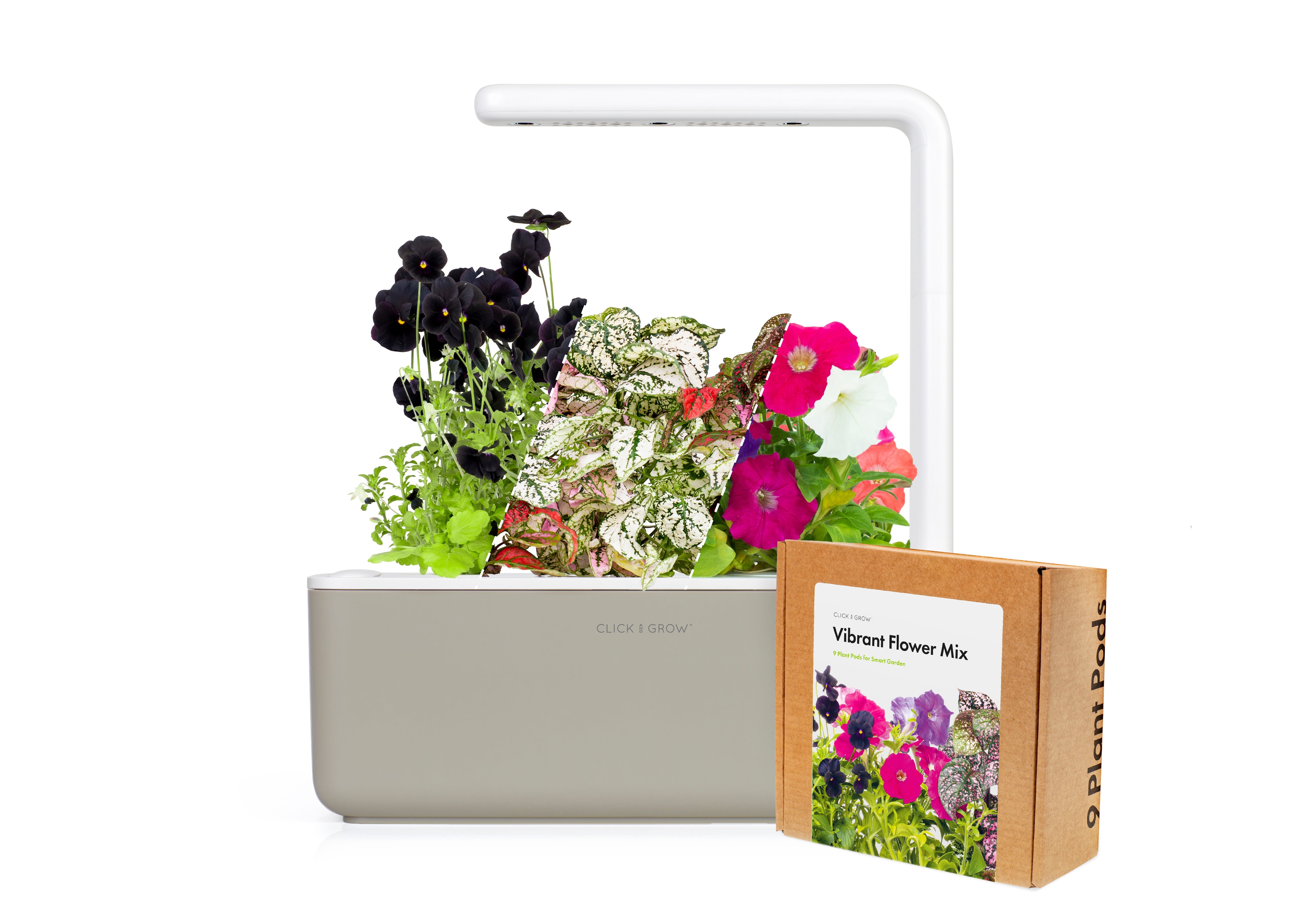 Petite "Blooming Beauty" Craft Kit - modernized.nl