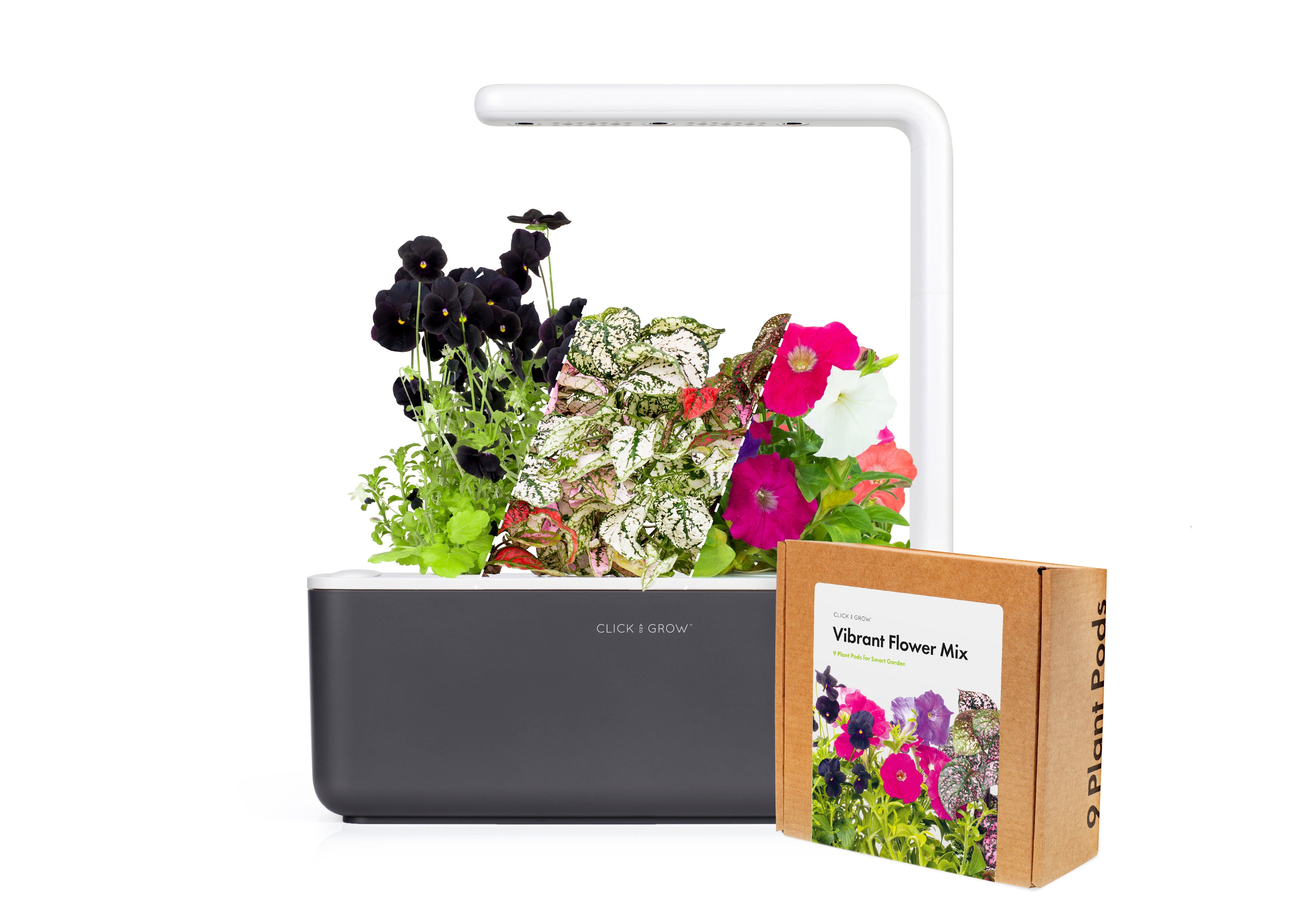 Petite "Blooming Beauty" Craft Kit - modernized.nl