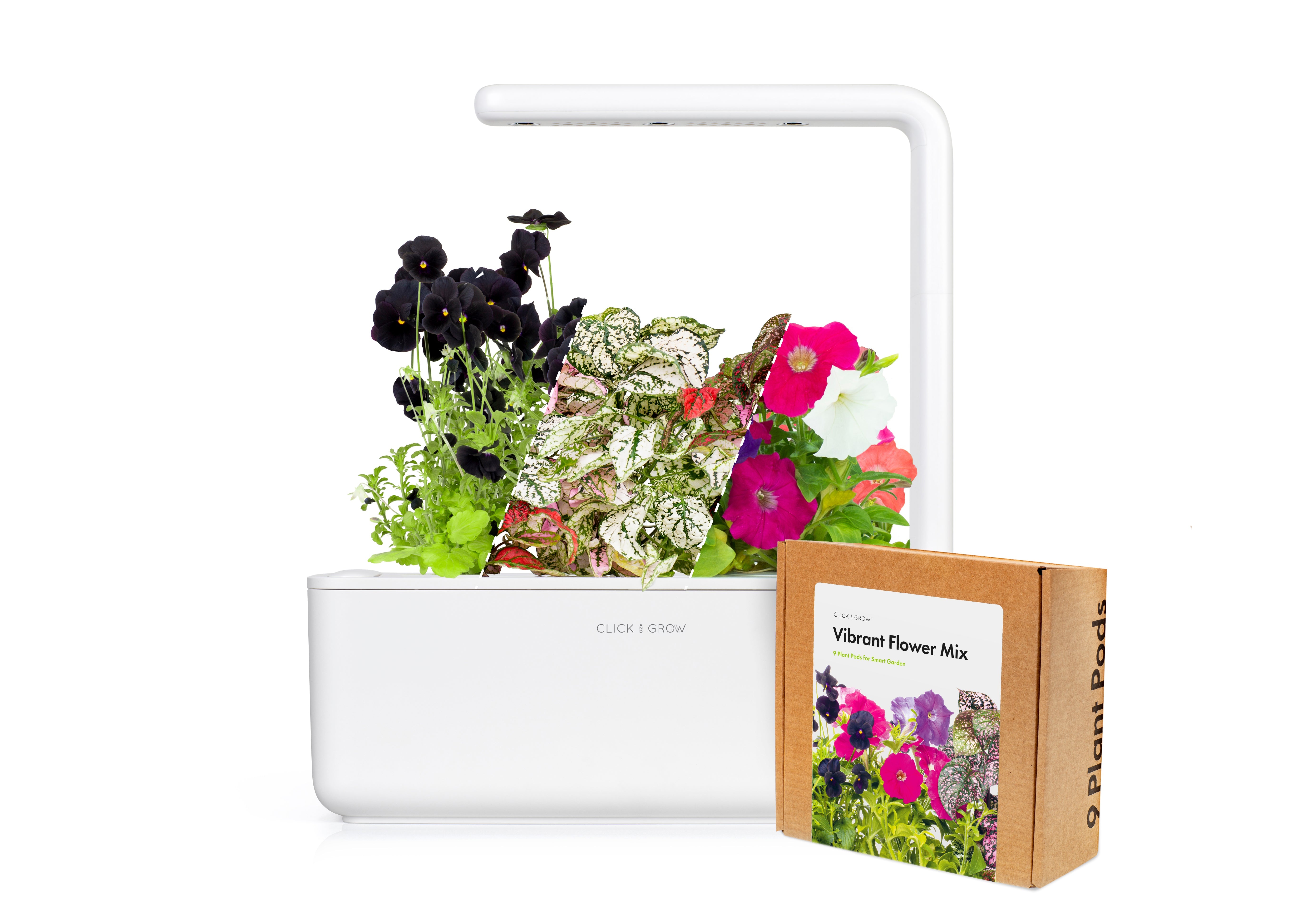 Petite "Blooming Beauty" Craft Kit