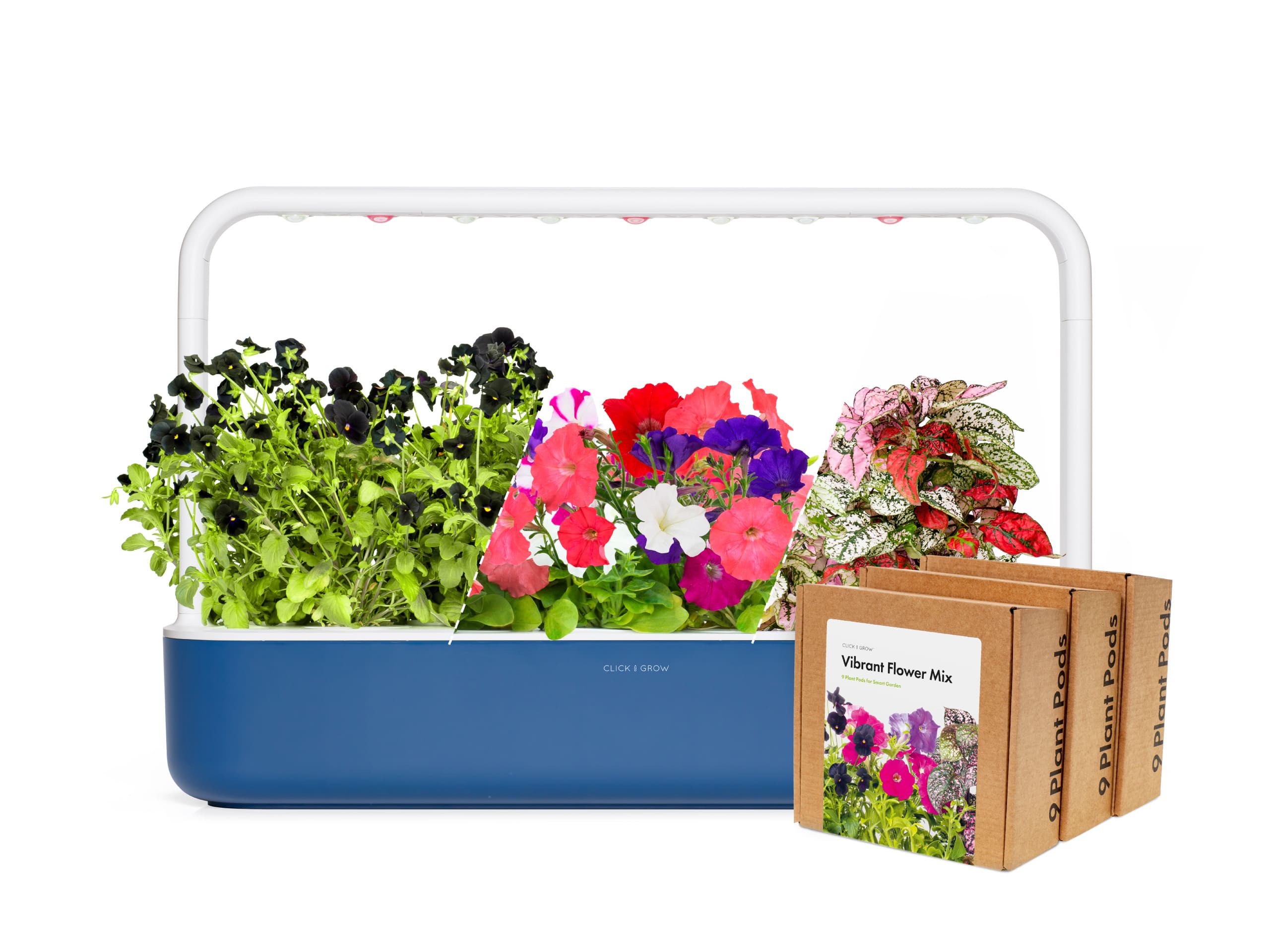 Exclusive "Vibrant Flower" Art Kit – Limited Edition Delight! - modernized.nl