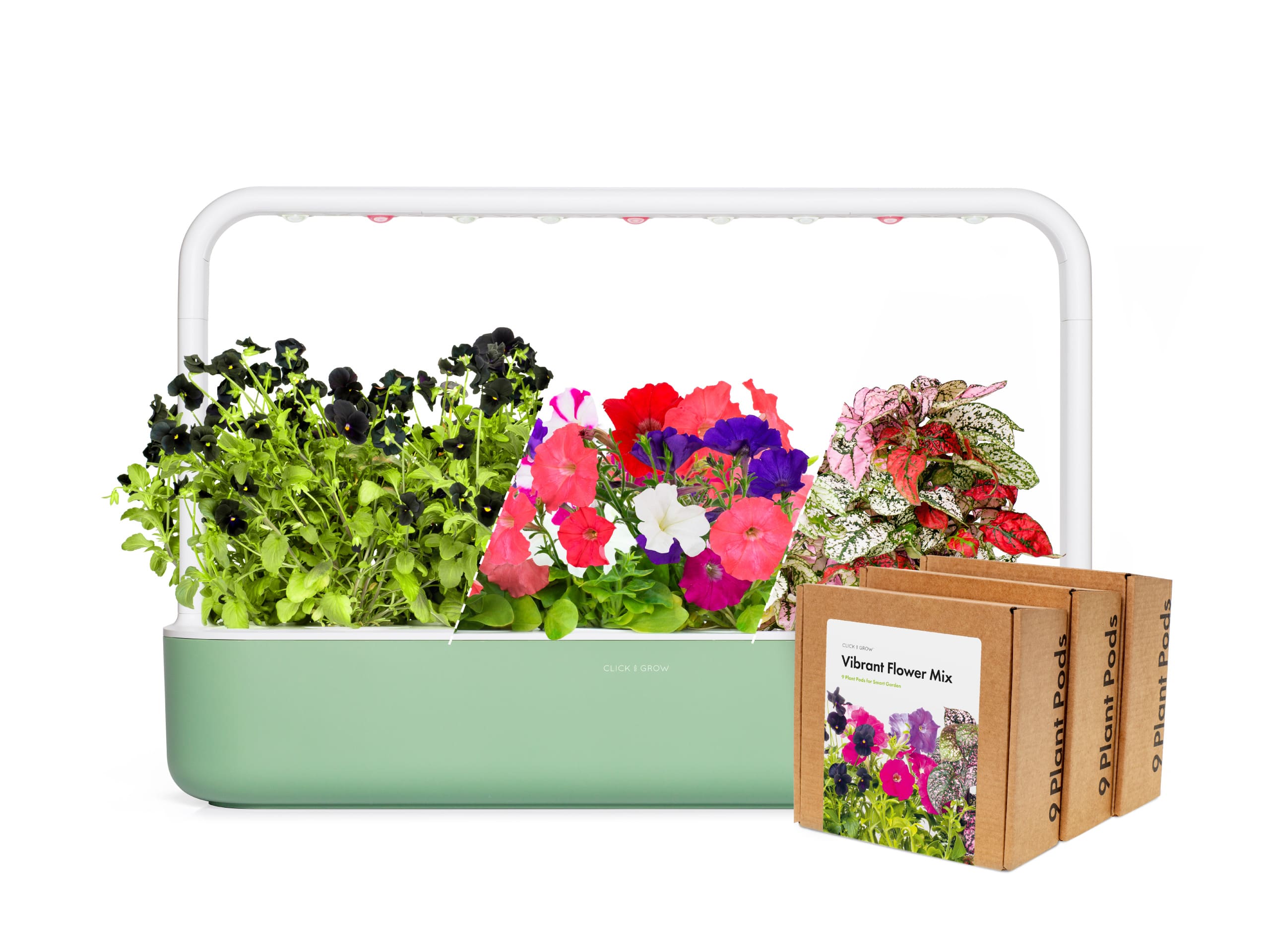 Exclusive "Vibrant Flower" Art Kit – Limited Edition Delight!