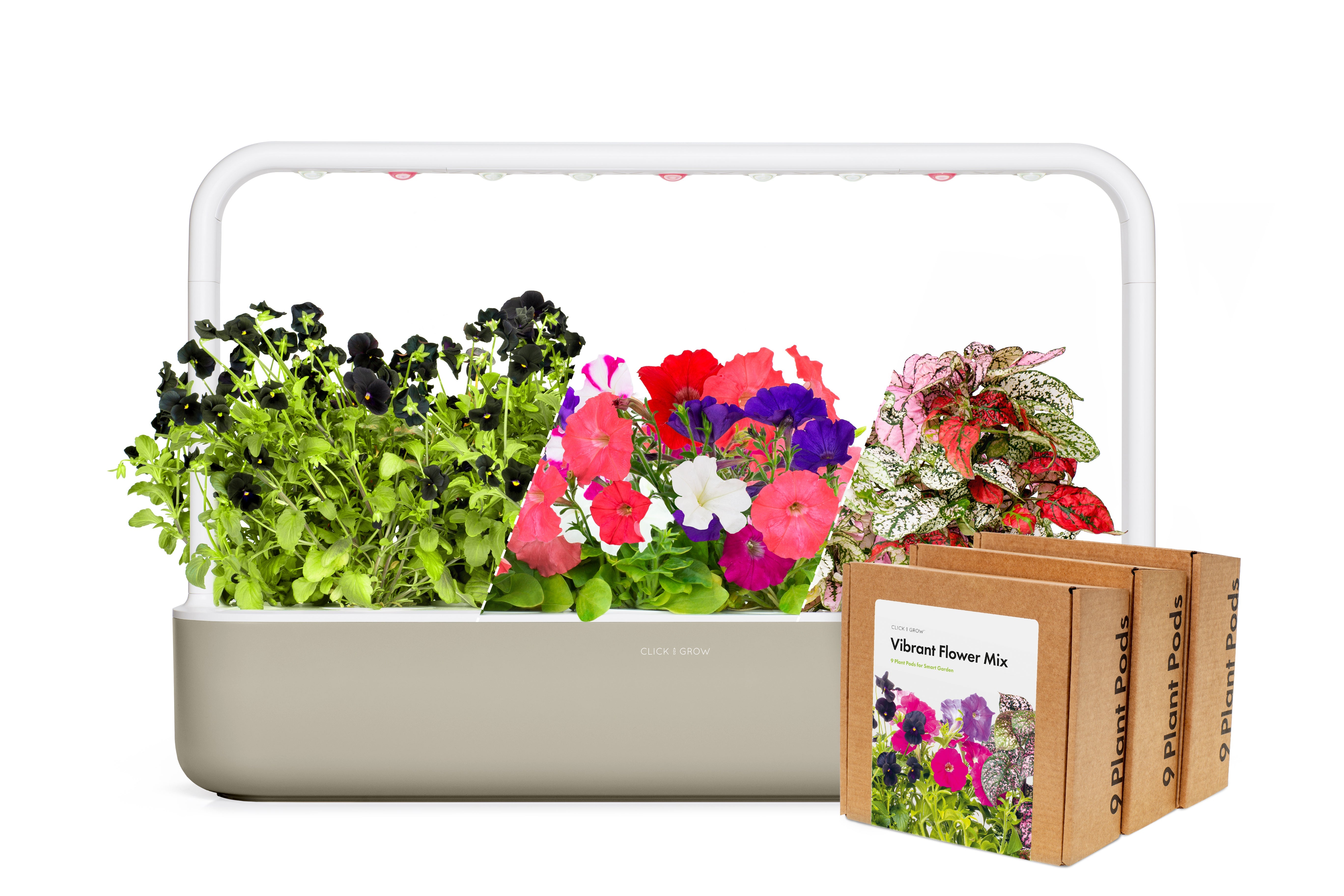 Colorful "Vibrant Blossom" Craft Set - modernized.nl