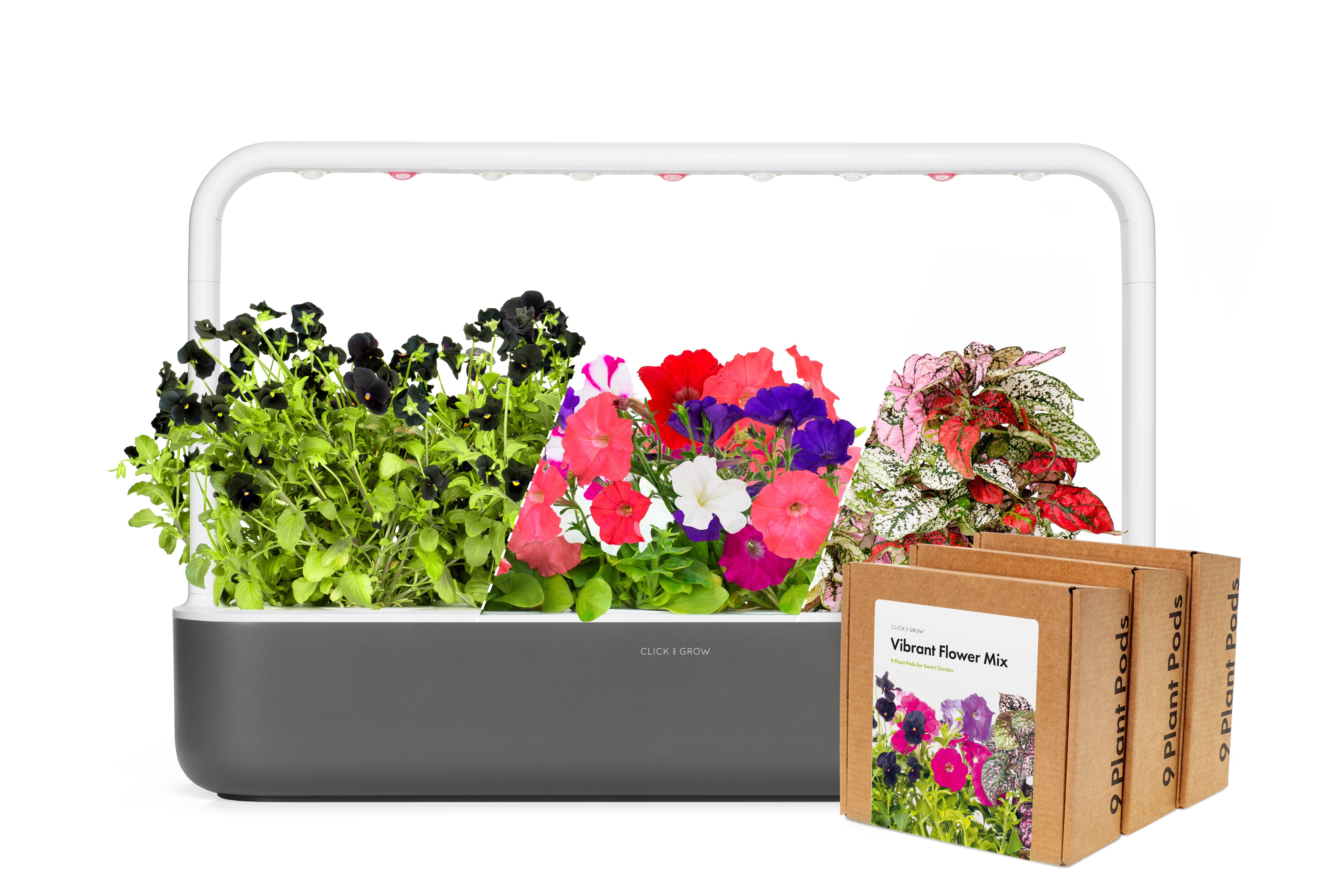 Colorful "Vibrant Blossom" Craft Set - modernized.nl