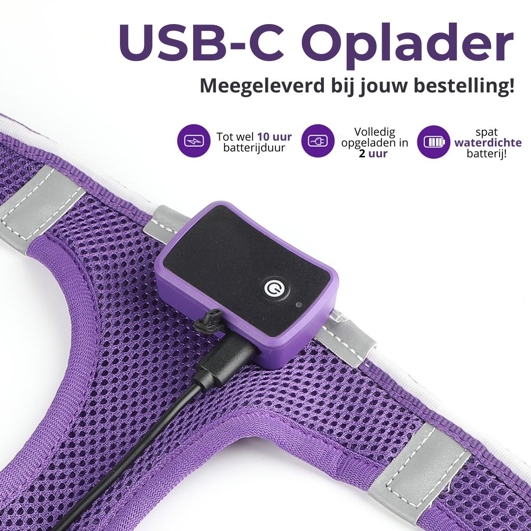 GlowGuard LED verlichte Hondenharnas voor kleine honden | Paars