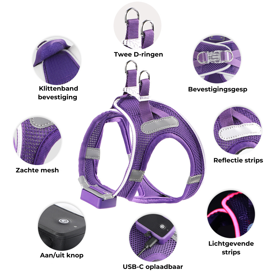 GlowGuard LED verlichte Hondenharnas voor kleine honden | Paars
