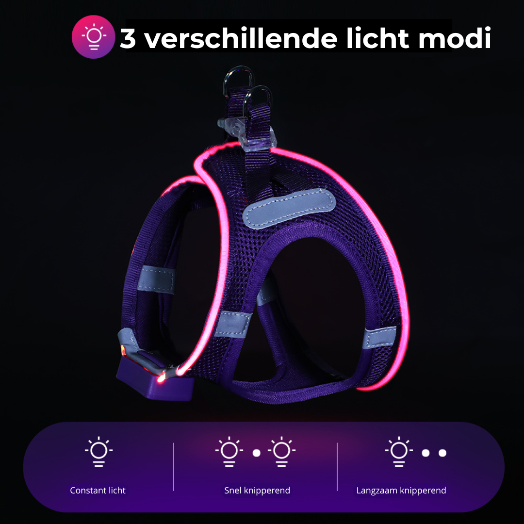 GlowGuard LED verlichte Hondenharnas voor kleine honden | Paars
