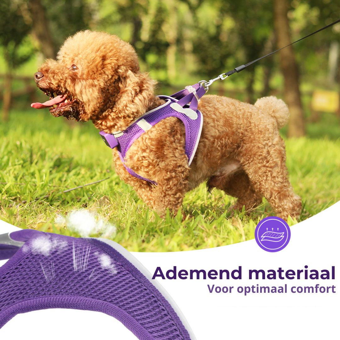 GlowGuard LED verlichte Hondenharnas voor kleine honden | Paars