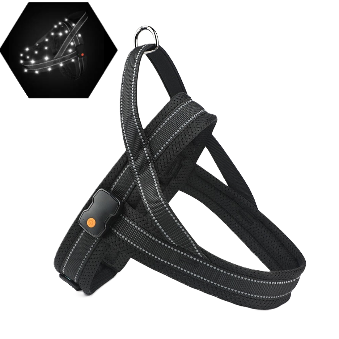GlowGuard LED verlichte Hondenharnas | Zwart