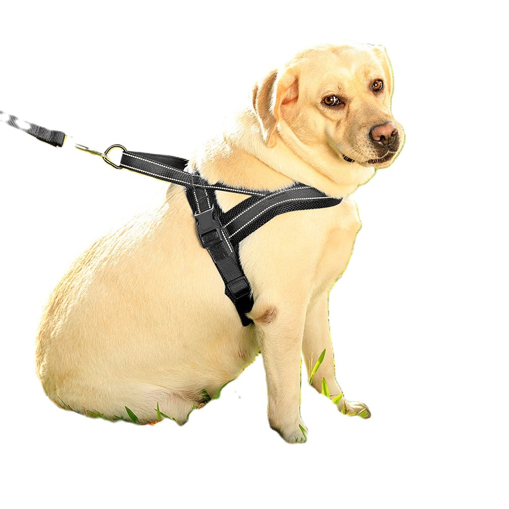 GlowGuard LED verlichte Hondenharnas | Zwart