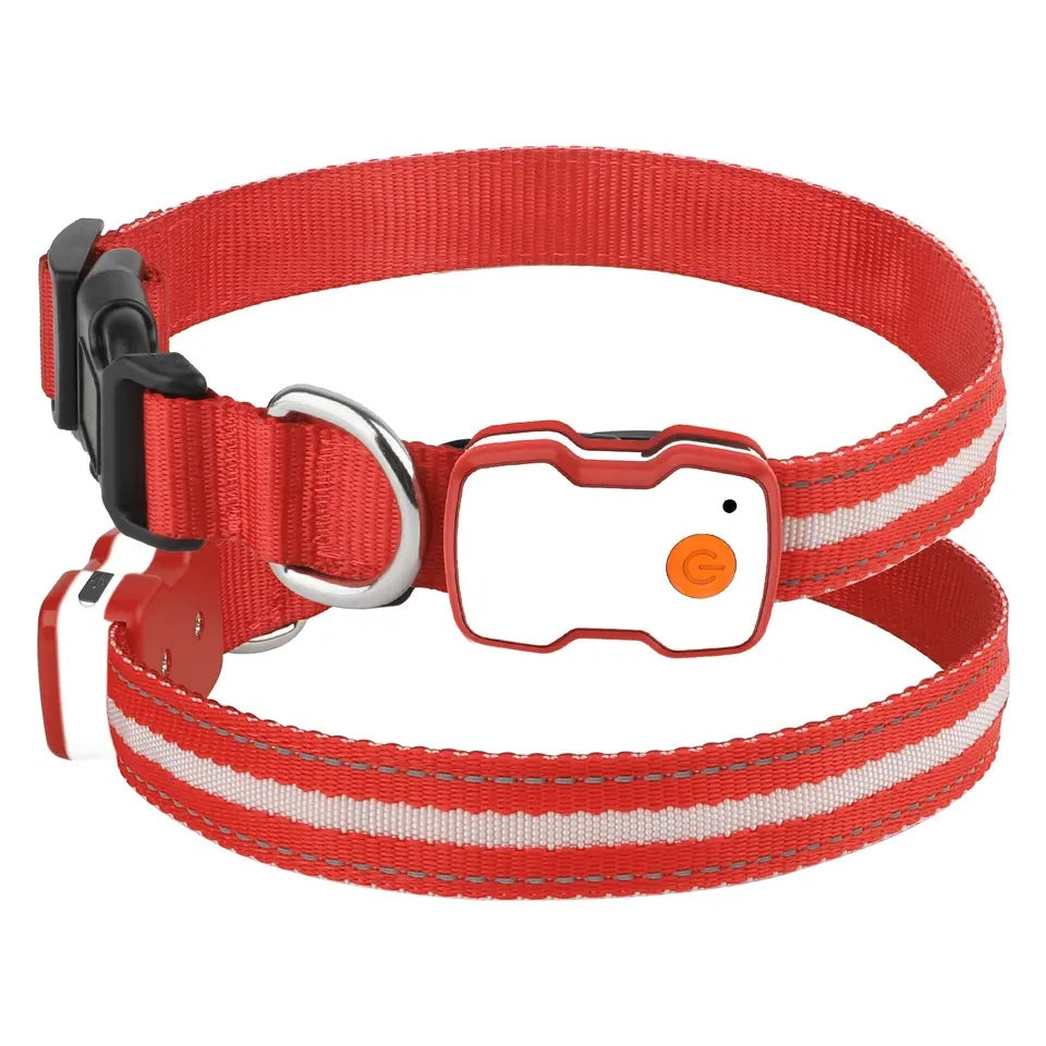 GlowGuard LED Hondenhalsband | Rood