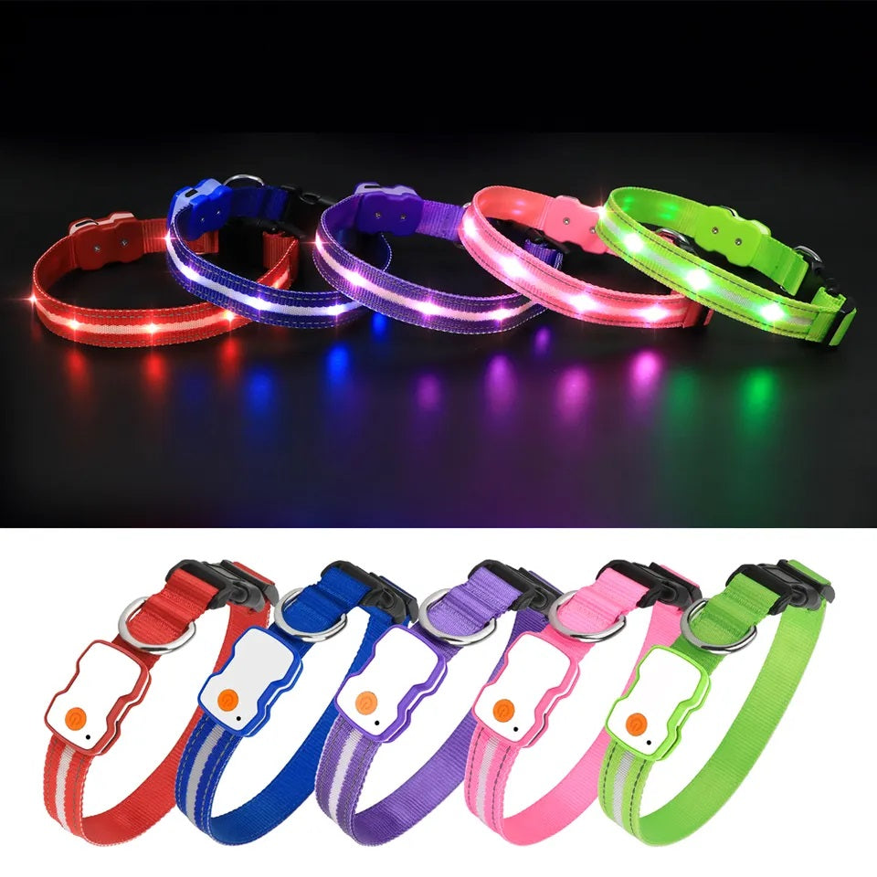 GlowGuard LED Hondenhalsband | Paars
