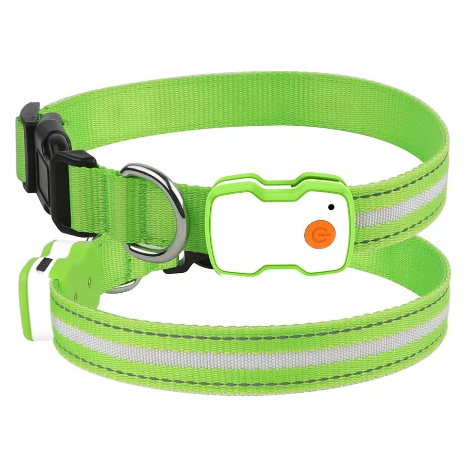GlowGuard LED Hondenhalsband | Groen