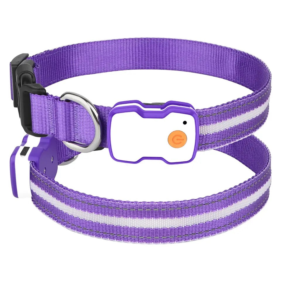 GlowGuard LED Hondenhalsband | Paars