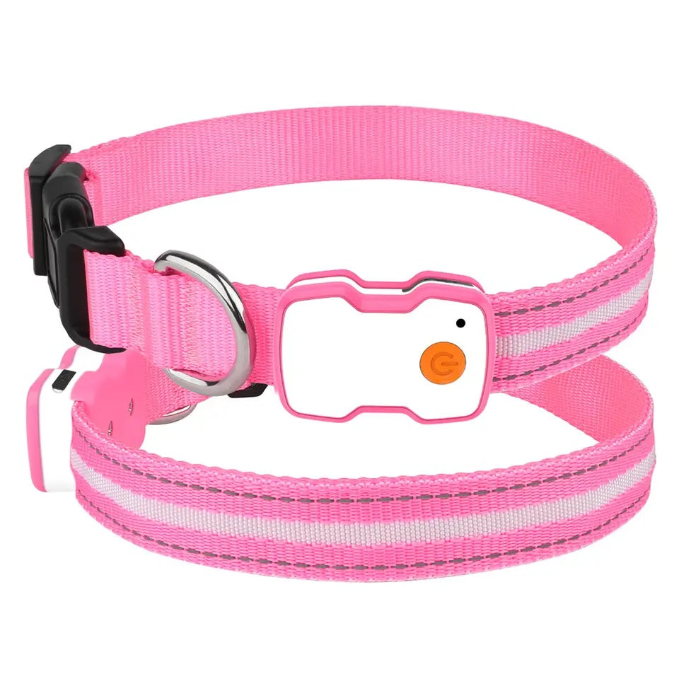 GlowGuard LED verlichte Hondenhalsband hond | Roze