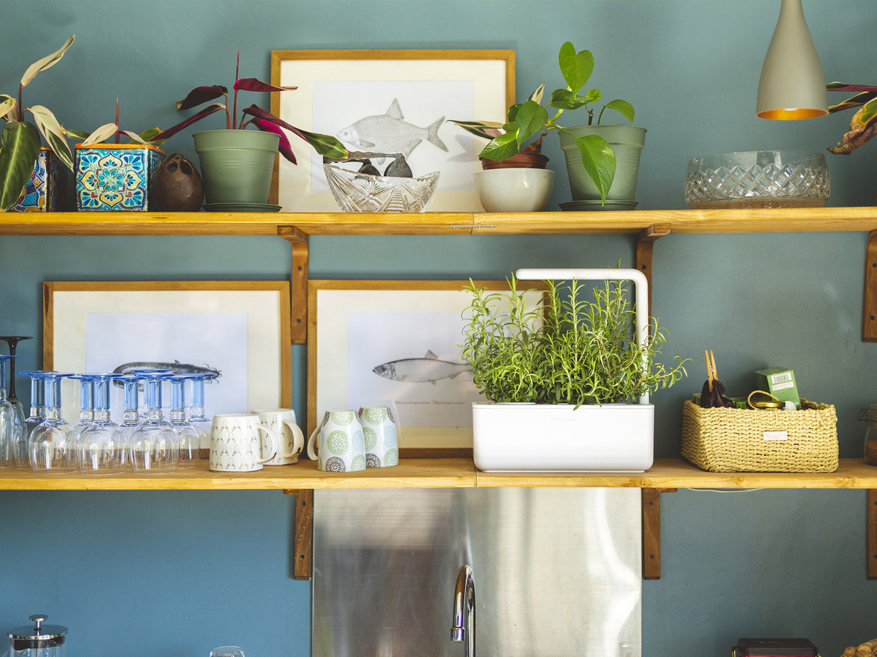 Elevate Your Indoor Greenery with the Smart Garden 3 - modernized.nl