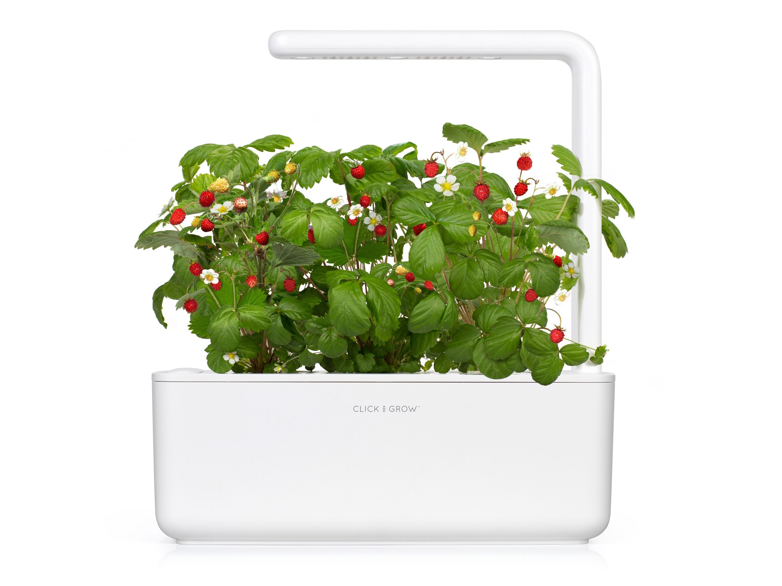 Elevate Your Indoor Greenery with the Smart Garden 3 - modernized.nl