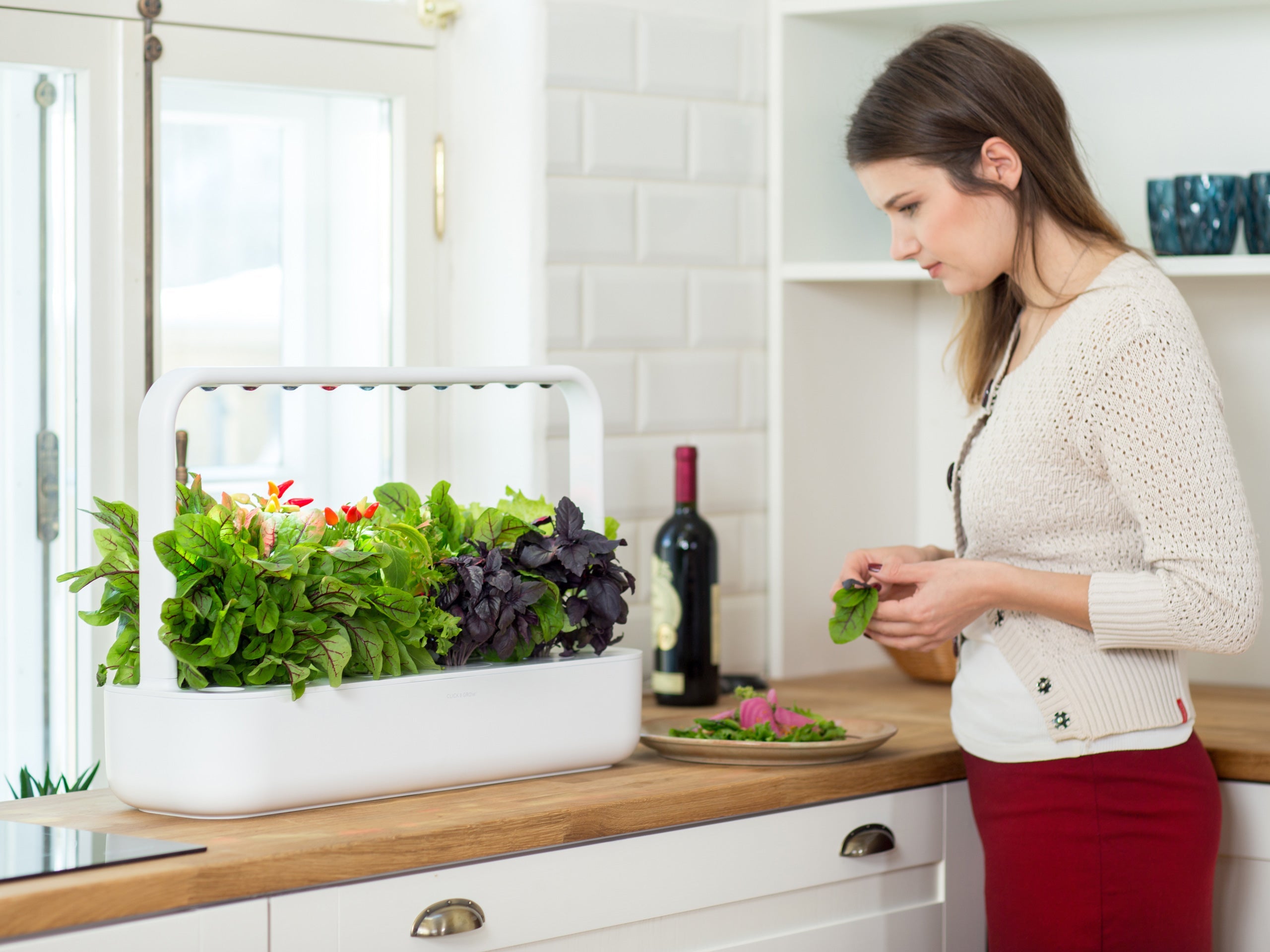 The Innovative Smart Garden 9 - modernized.nl