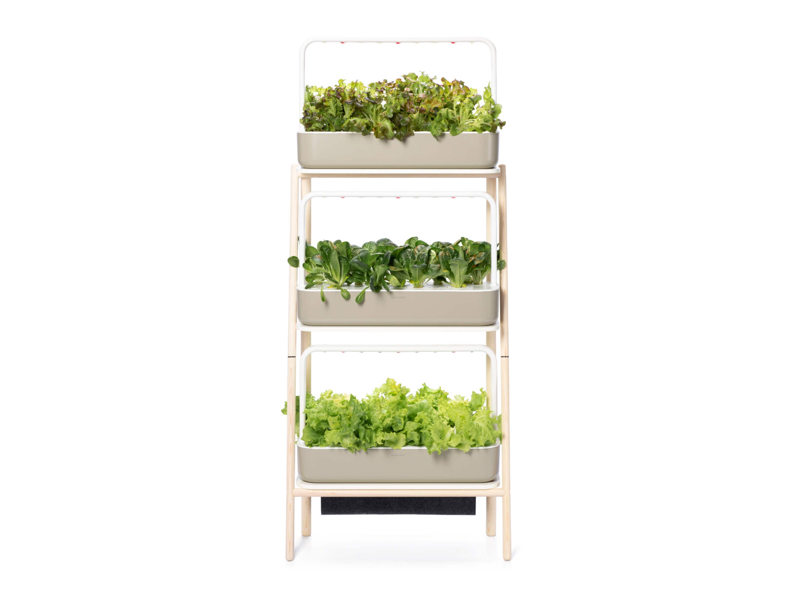 Elevate Your Home with the Smart Garden 27! - modernized.nl