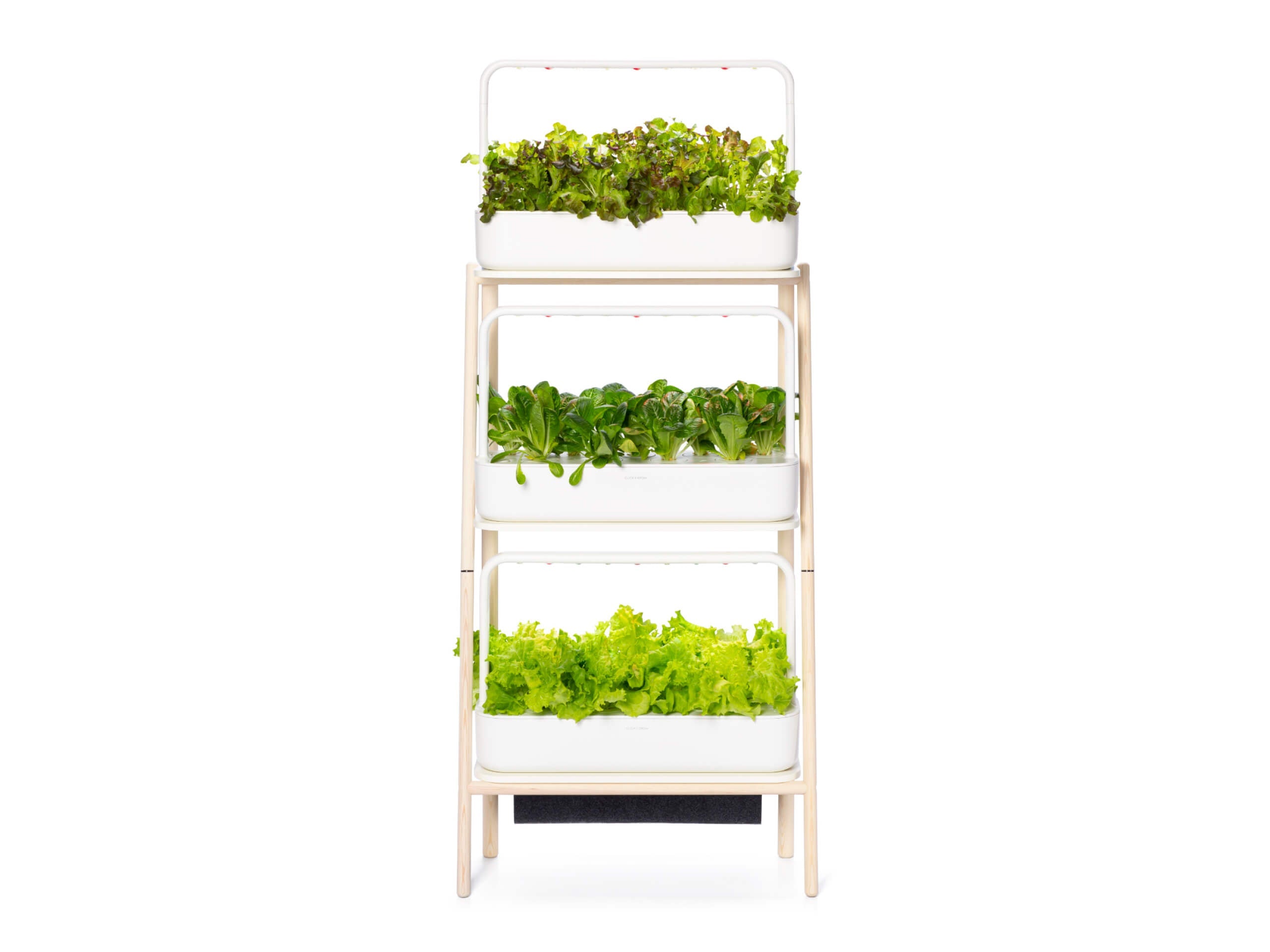 Elevate Your Home with the Smart Garden 27!