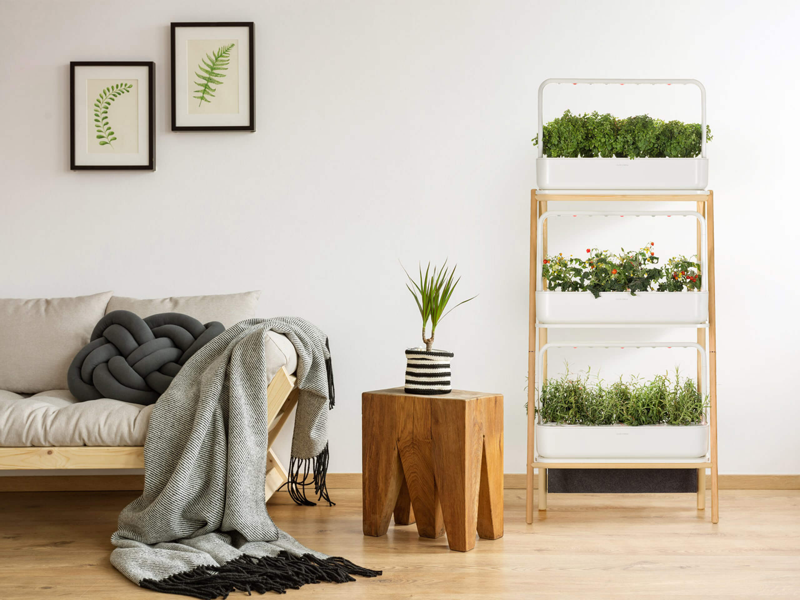 Elevate Your Home with the Smart Garden 27! - modernized.nl