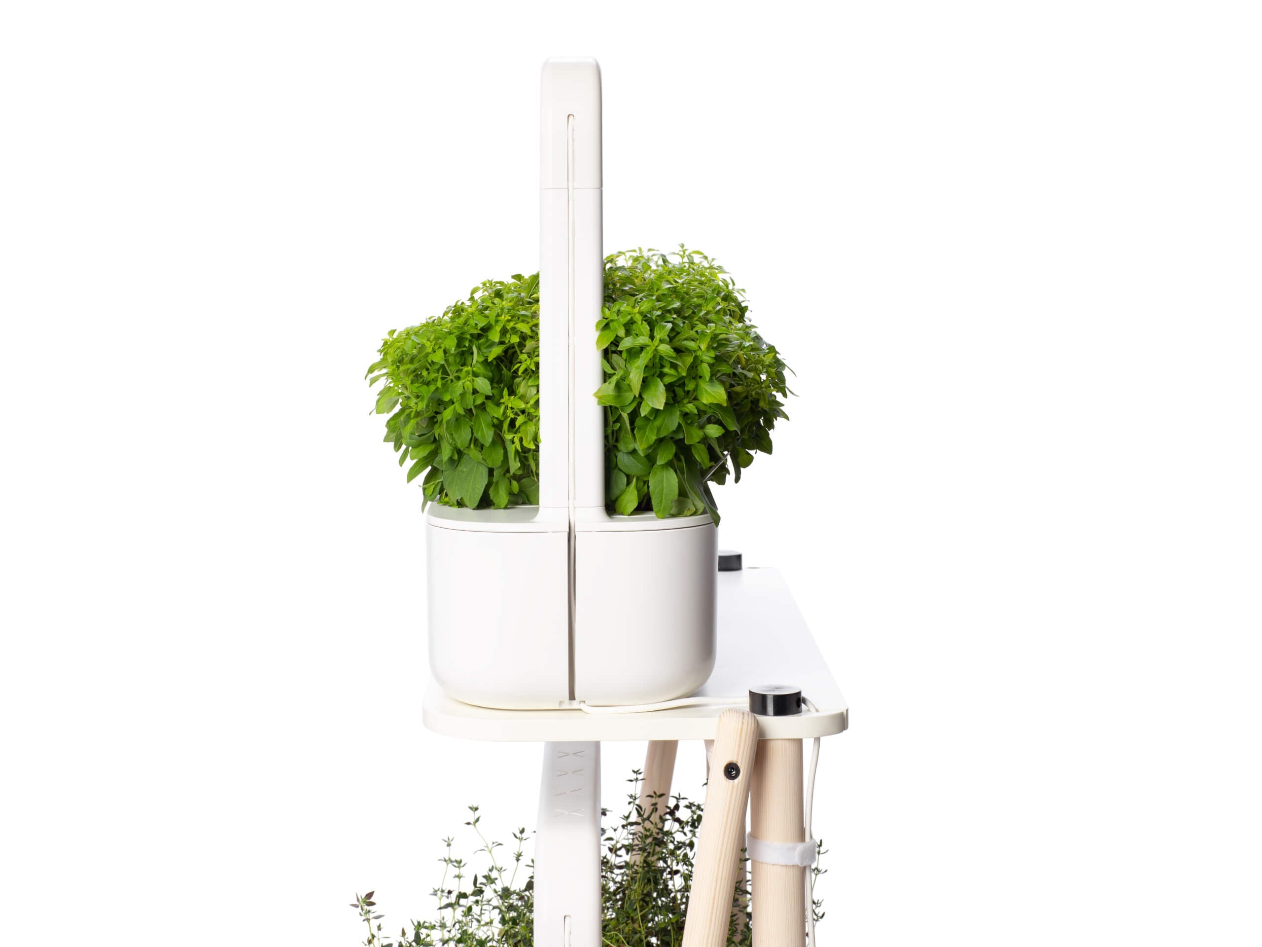Elevate Your Home with the Smart Garden 27! - modernized.nl