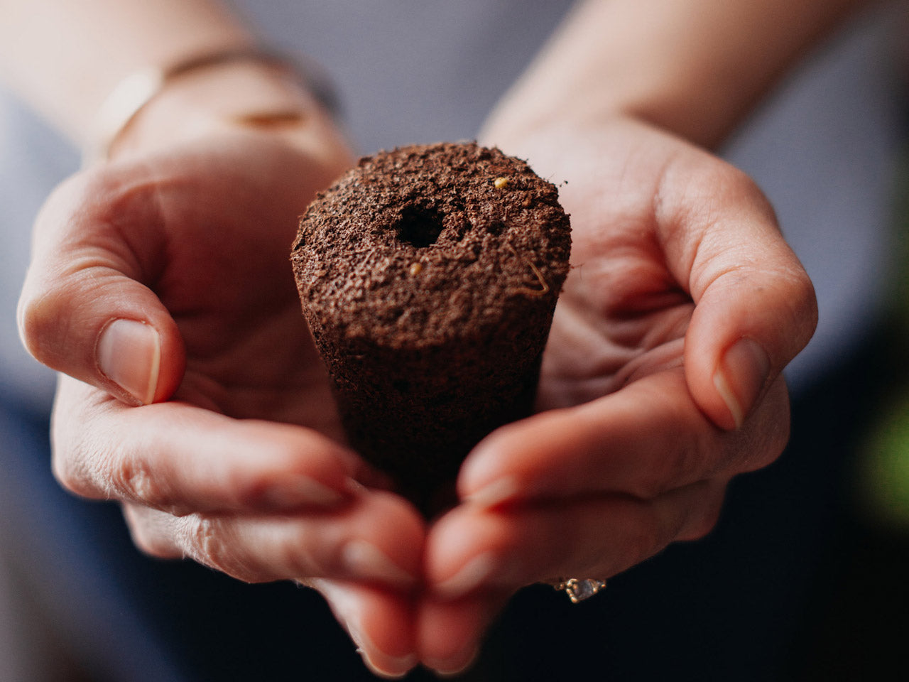 Elevate Your Indoor Greenery with the Smart Garden 3 - modernized.nl