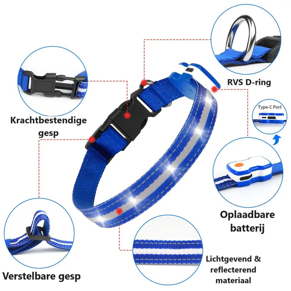 GlowGuard LED verlichte Hondenhalsband | Blauw