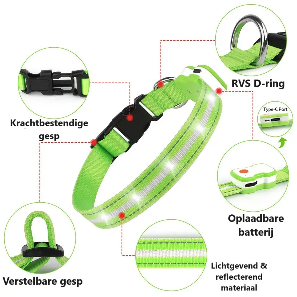 GlowGuard LED Hondenhalsband | Groen