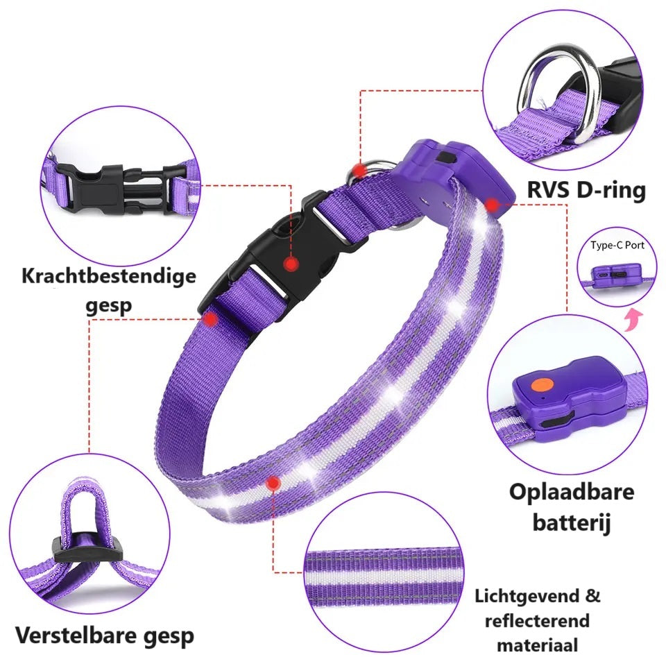 GlowGuard LED Hondenhalsband | Paars