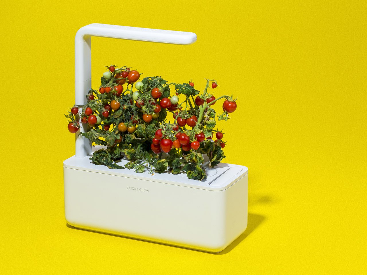 Elevate Your Indoor Greenery with the Smart Garden 3 - modernized.nl