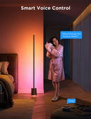 Govee Premium Smart Floor Lamp - modernized.nl