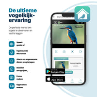 Premium Vogelvoederhuis met Camera en Audio - Slimme AI Vogelherkenning - Duurzaam Hout - Dubbel Zonnepaneel - Hangend Design - modernized.nl