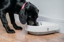 Cat Mate Three-meal Automatic Pet Feeder with Digital Timer (C300) - modernized.nl