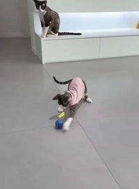 Kattenspeelgoed - Interactief