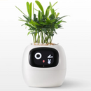 PlantenVriend – Interactieve Slimme Bloempot - modernized.nl